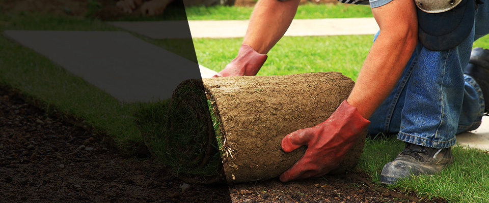 Fogelsville Landscapers